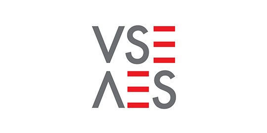 VSE Logo | © VSE